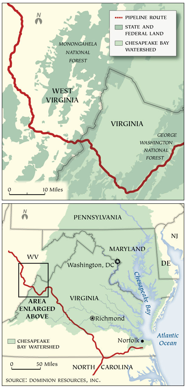 Construction of Atlantic Coast Pipeline could be halted by endangered species concerns
